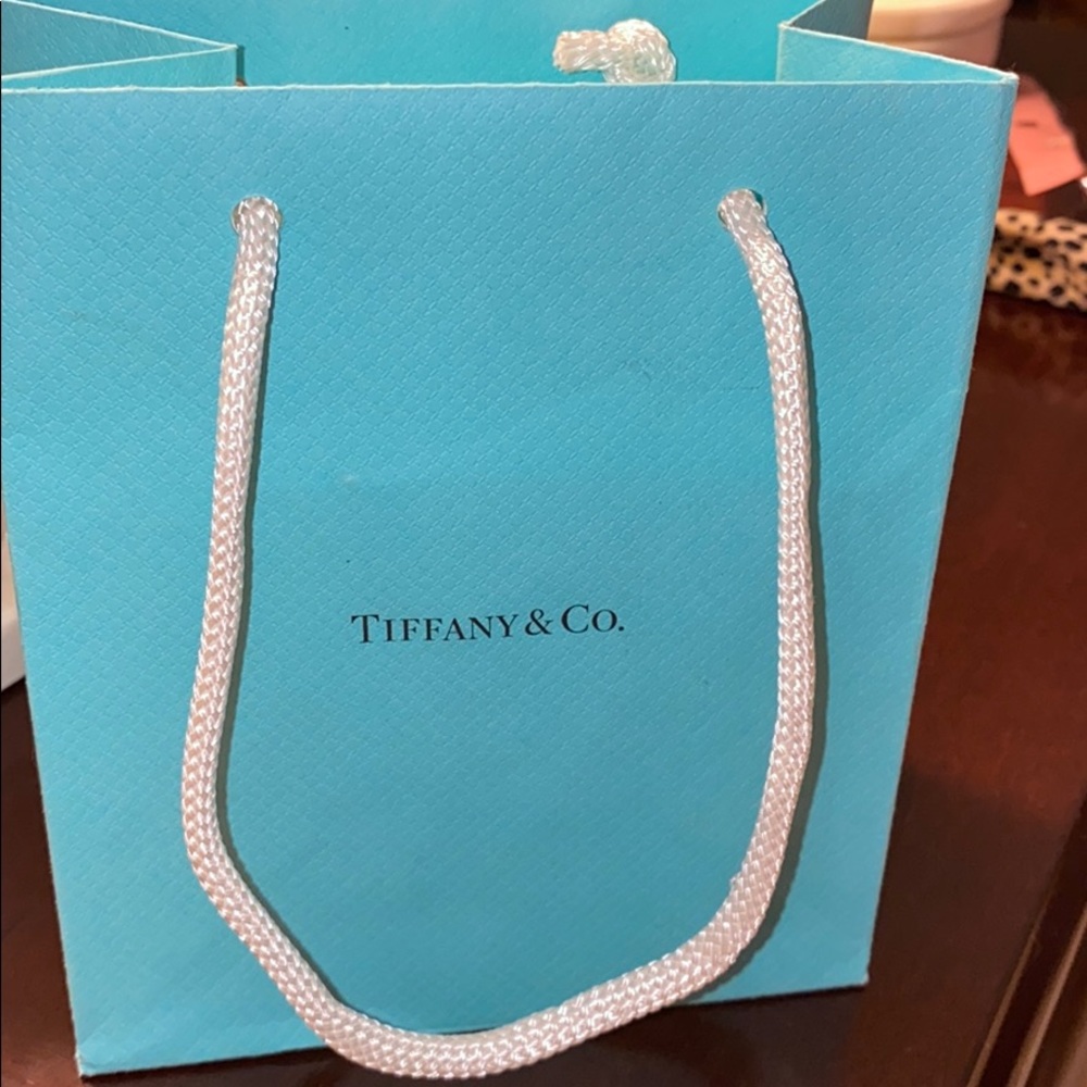 Elsa Peretti Tiffany&Co necklace